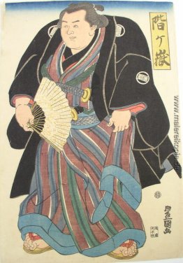 Sumo wrester in blau-braun gestreift underkimono