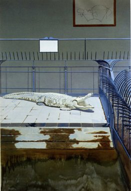 Crocodile et Gitter