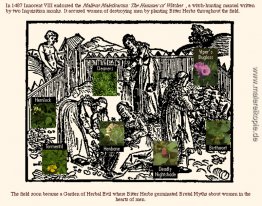 Der Garten von Brutal Myth