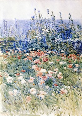 Flower Garden, Isles of Shoals