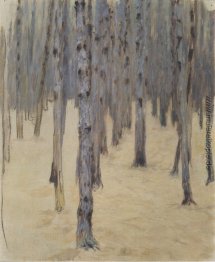 Kiefernwald im Winter