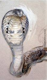 Full Face von Cobra Full Face von Cobra