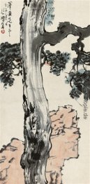 Groß Kiefer Groß Kiefer