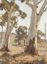 Studie Gum Trees, Woodside