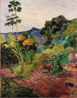 Martinique Landschaft