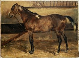 Brown-Pferd im Stall