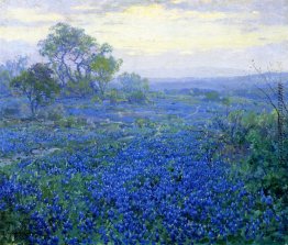 Einem bewölkten Tag, Bluebonnets der Nähe von San Antonio, Texas