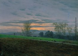 Feld gepflügt