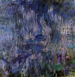 Water Lilies, Reflexion eines Trauerweiden