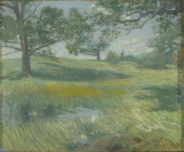 Meadows