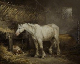 Pferd und Hund in einem Stall