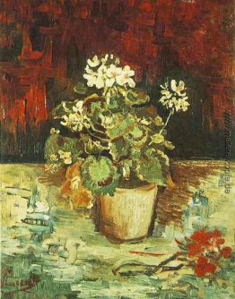 Geranium in einem Blumentopf