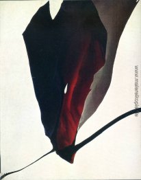 Unbekannter Titel Unbekannter Titel