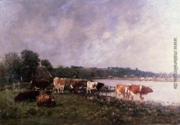 Kühe am Flussufer der Touques
