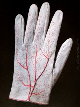 Paar Handschuhe (Detail)