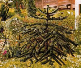 The Monkey Puzzle, Whitehouse, Nordirland