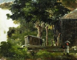Landschaft mit Haus im Wald in Saint Thomas, Antillen