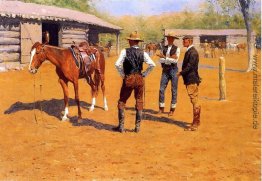 Kauf Polo-Ponys im Westen