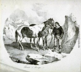 Pferde der Auvergne