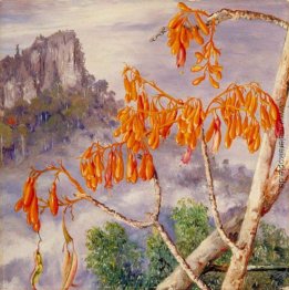 Kalkberge von Sarawak, Borneo Kalkberge von Sarawak, Borneo