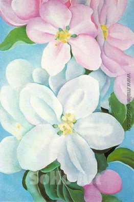 Apfelblüten