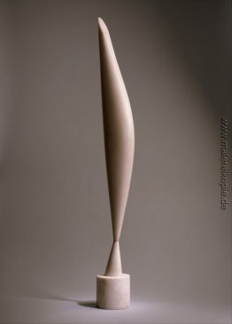 Vogel im Raum