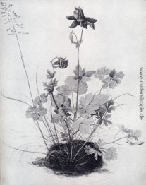 Das Stück Rasen With The Columbine