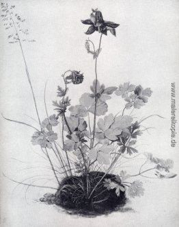 Das Stück Rasen With The Columbine