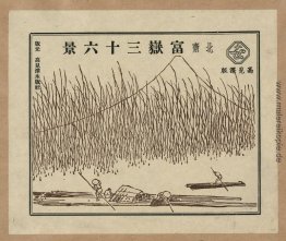 Bildhafter Umschlag für Hokusa