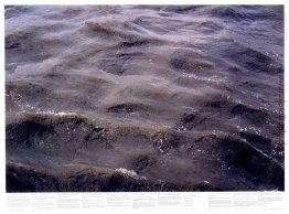 Untitled (aus der Serie Still Water (Die Themse, zum Beispiel))
