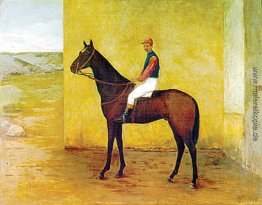 Jockey und Pferd