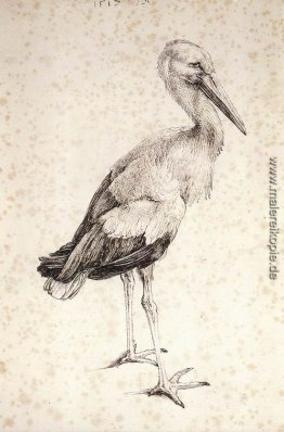Die Stork