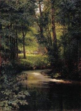 Creek im Wald