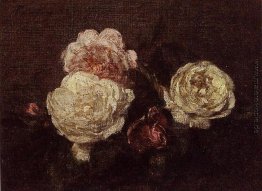 Blumen Rosen