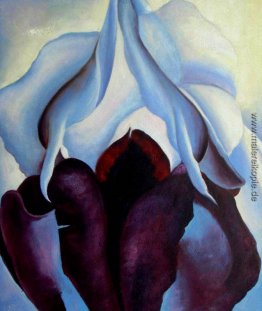 Blume des Lebens