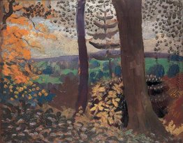 Landschaft bei Chirk, Clwyd