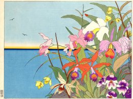 Fleurs Des Iles Lointaines. Mers du Sud