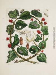 Unbekannter Titel Unbekannter Titel