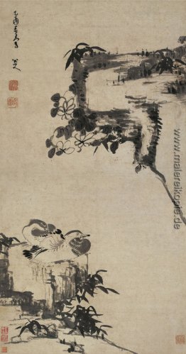 Bambus, Rock, und Mandarinen-Enten
