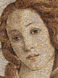 Geburt der Venus Geburt der Venus