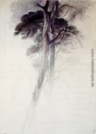 Studium der Bäume von Turner Studium der Bäume von Turner