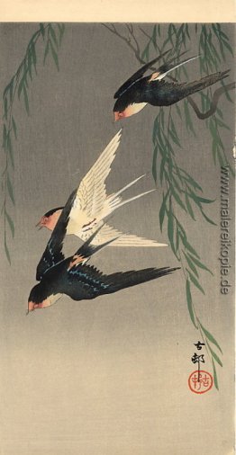 Schwalben im Flug
