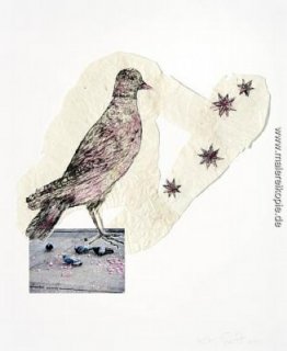 Birds with Stars