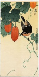 Ein Fliegenfänger auf Gurken Busch