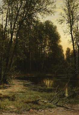 Fluss-Stauwasser im Wald
