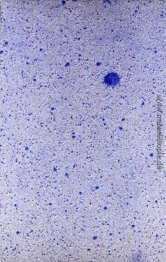 Ein Regen von "Pleasure" Ein Regen von "Pleasure"