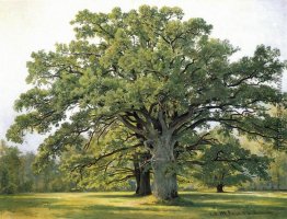 Oaks in der Altstadt von Peterhof