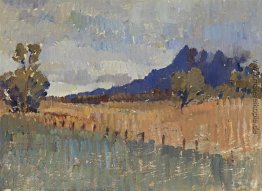 Northern Landccape (Flinders Ranges Landschaft mit Regen nähert)