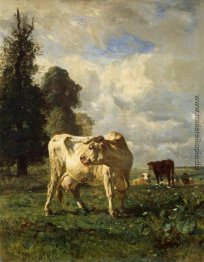 Kühe auf dem Gebiet Kühe auf dem Gebiet