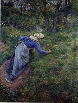 Peasant Beisammensein Gras